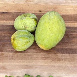 image_ffc2cbec-d954-417c-8c33-bfa761f79a09_300x