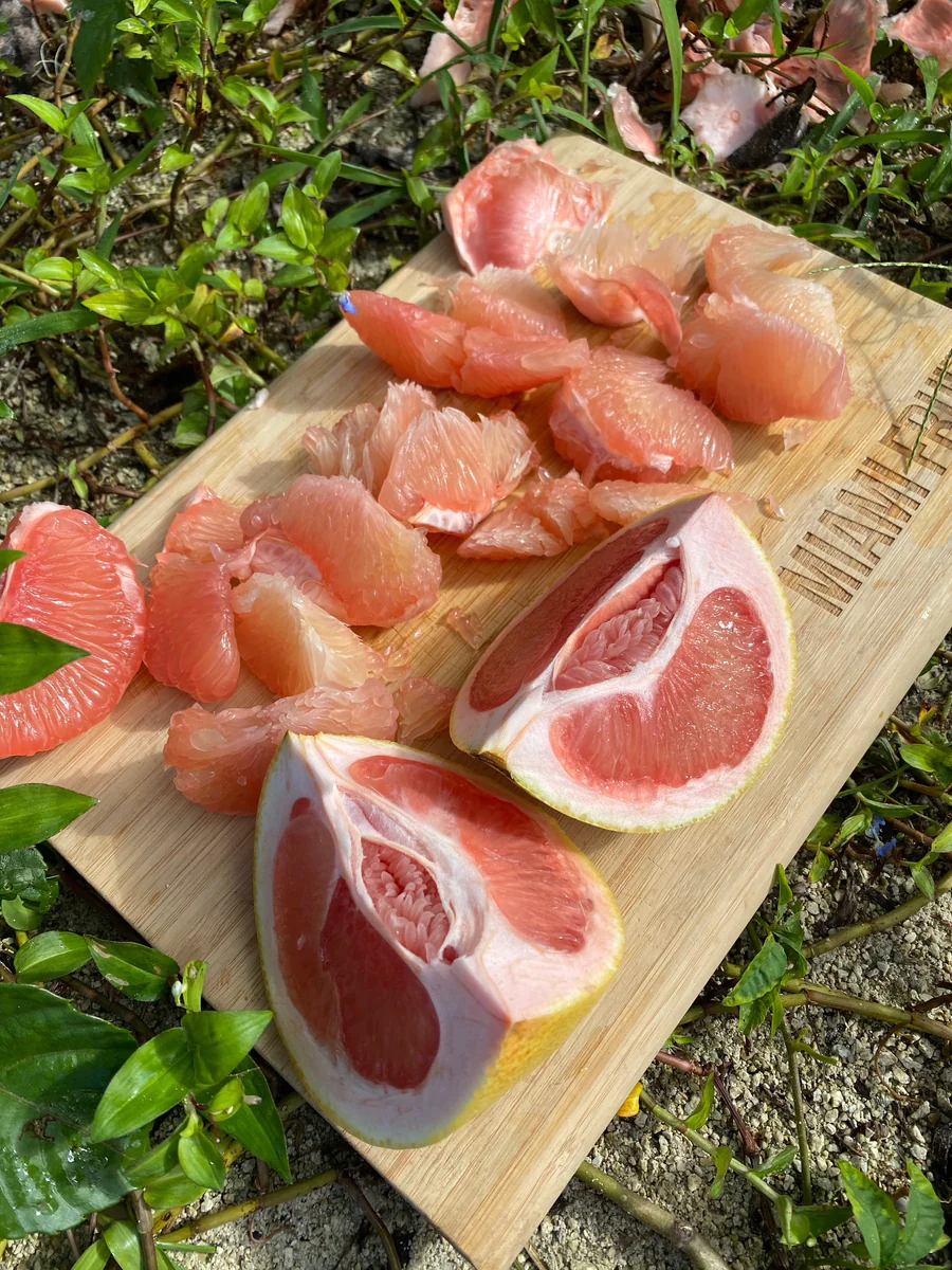 nongmocitrusshippedtoyourdoor_900x