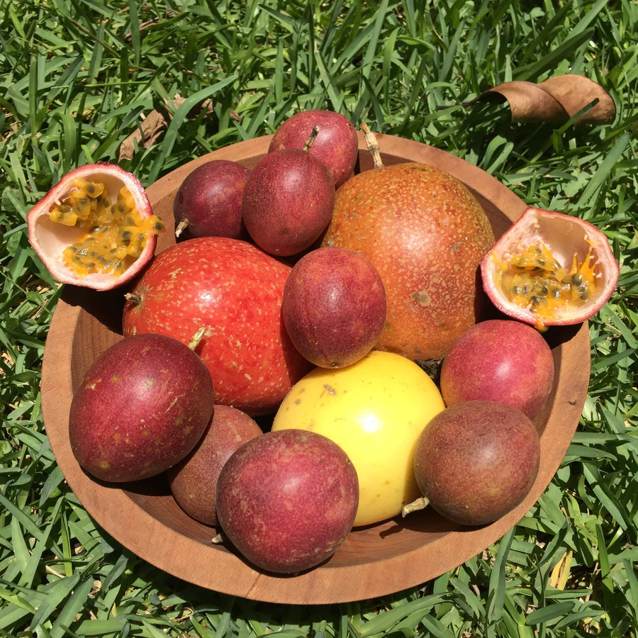 passionfruit_lilikoi_900x