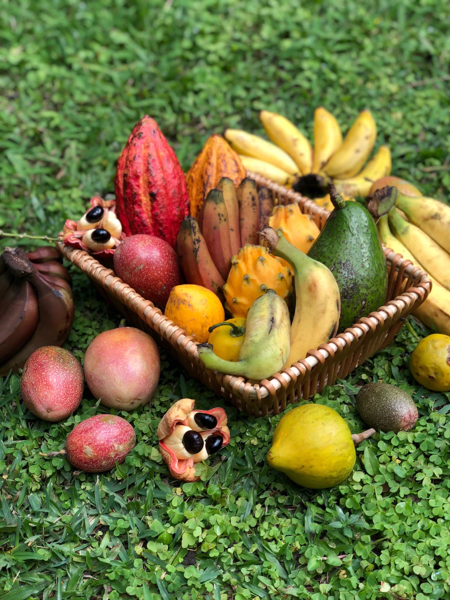 premium_variety_box_with_akee_900x