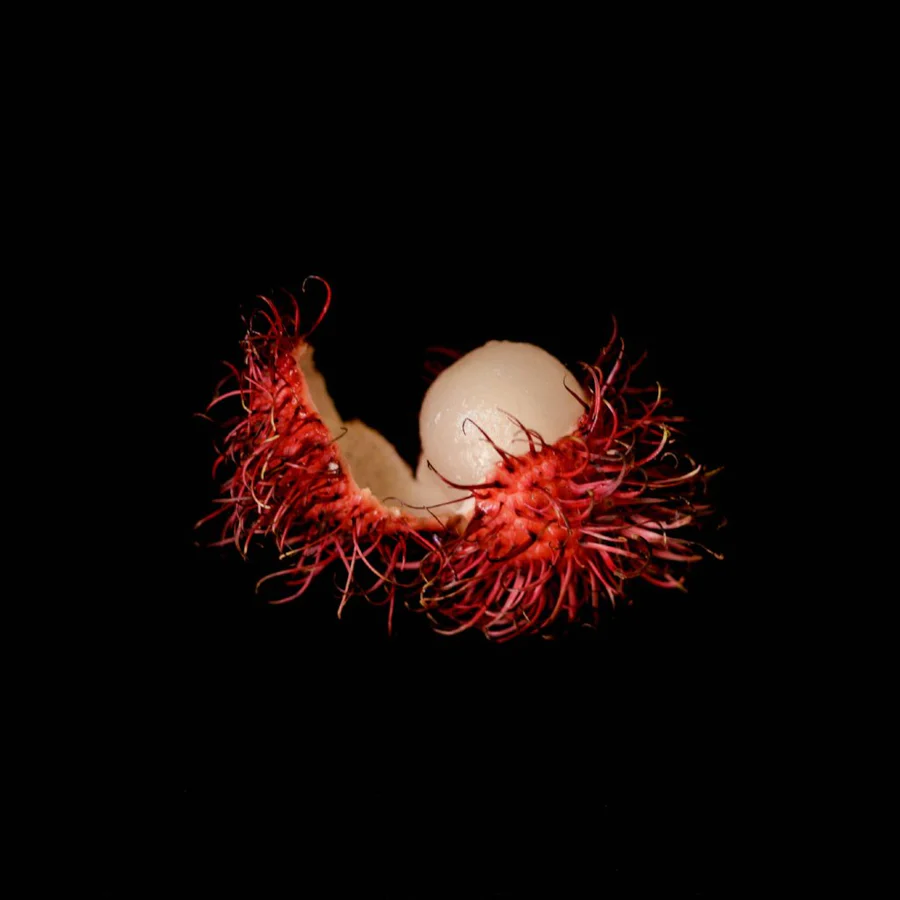 rambutan_black_background_miamifruit_900x