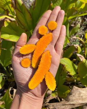 turmericcutopencurcuminfreshmiamifruit_300x