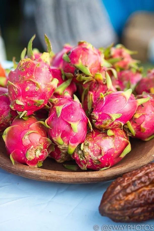 white_dragonfruit_vegan_block_party_900x