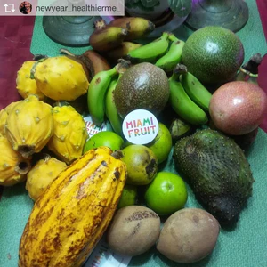 wintertime_premium_variety_box_300x