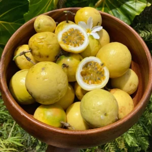 GOLDEN PASSIONFRUIT (LILIKOI) BOX *PRE-ORDER*