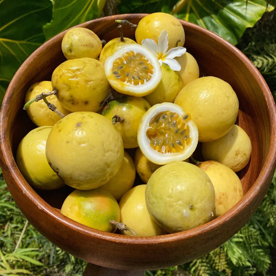 yellowgoldenpassionfruitinthebowl_900x