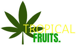 mtropicalfruits